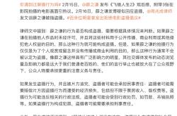 VAR判罚再引争议，本菲卡对阵泰山裁判判点引发巨大争议的简单介绍